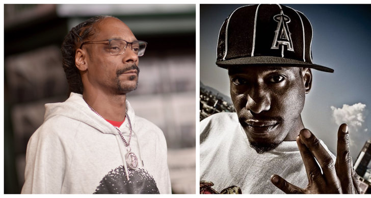 Artist, Dödsfall, Snoop Dogg